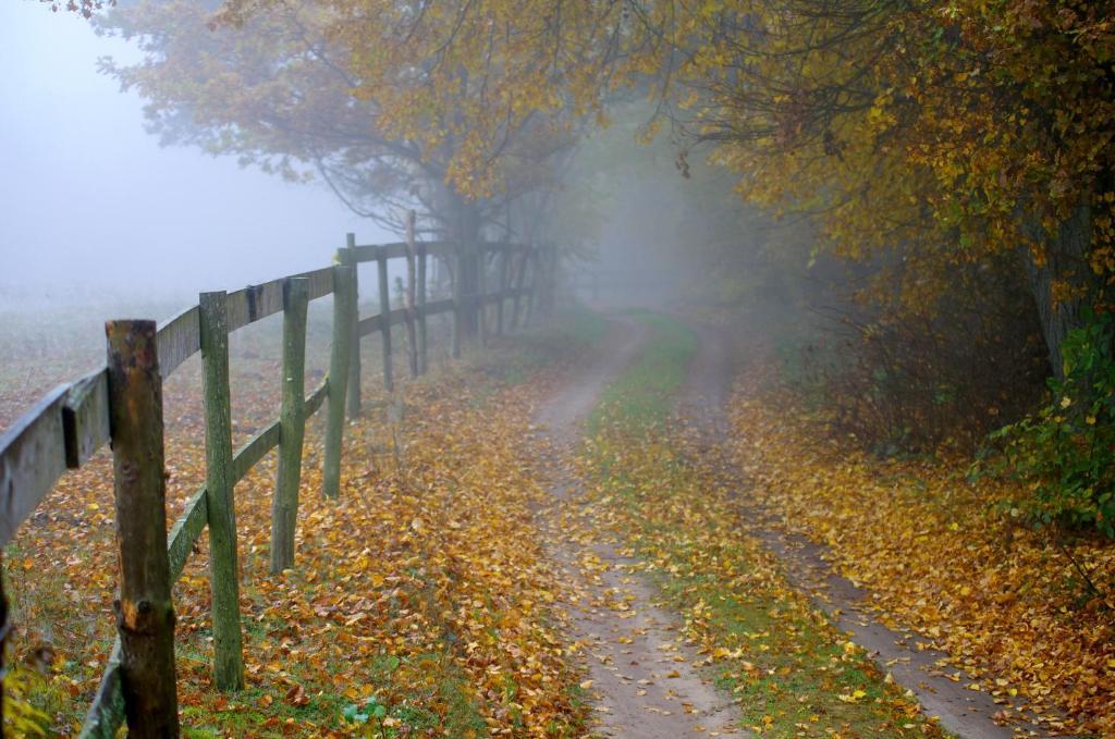 Вилла Gosciniec Figlowka Laskowice  Экстерьер фото